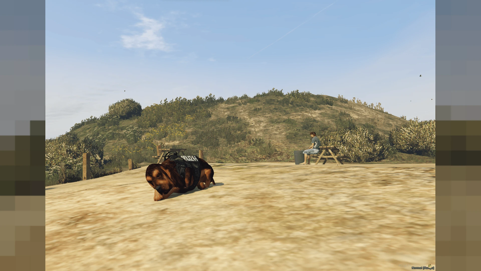 Bloodhound dog ped standing alert in a FiveM roleplay server