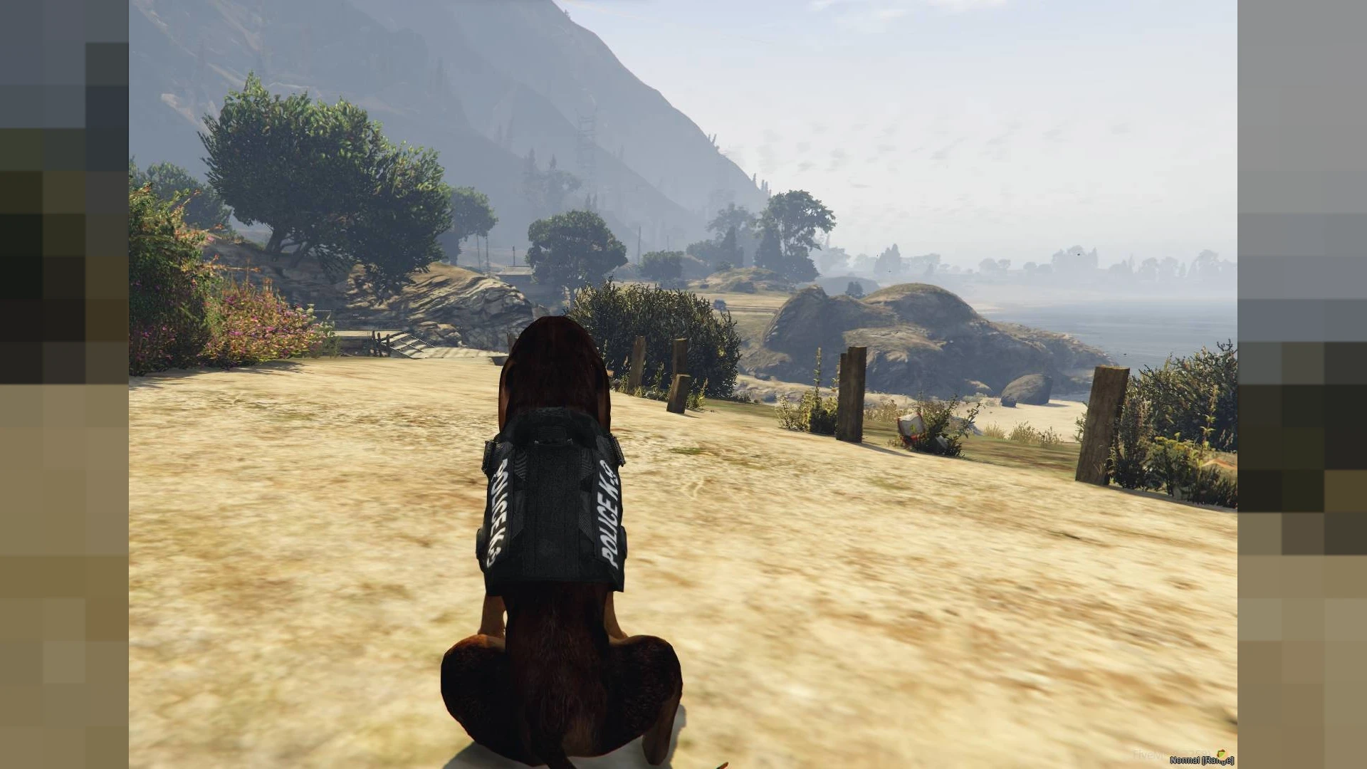 Bloodhound dog ped standing alert in a FiveM roleplay server — view 2