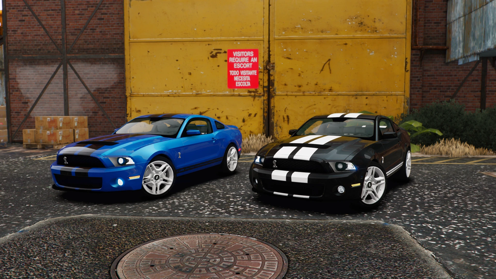 Shelby GT500 2020 FiveM muscle coupe with carbon hood on a highway