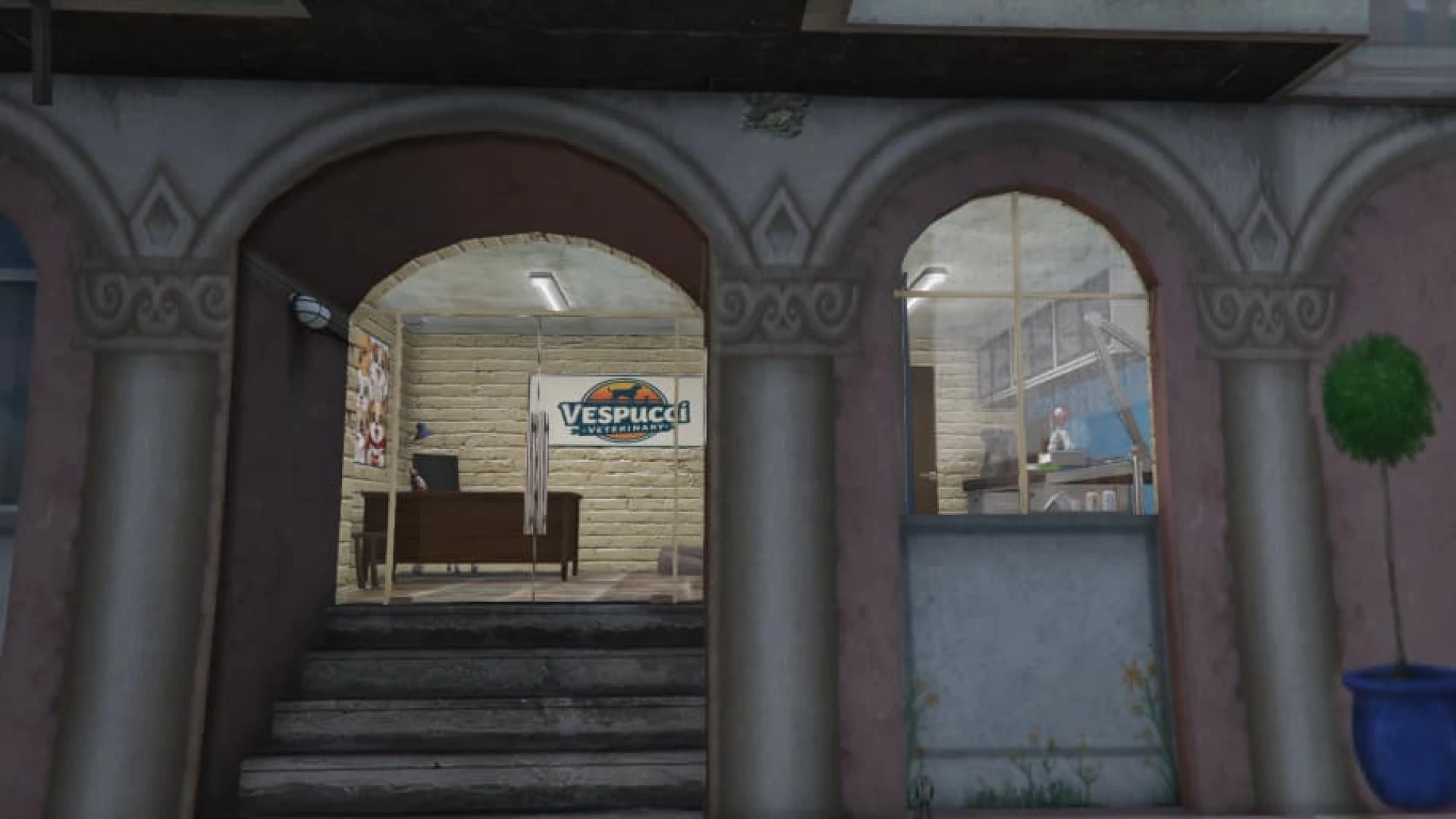 Vespucci veterinary clinic with reception desk, exam rooms, and surgery beyond