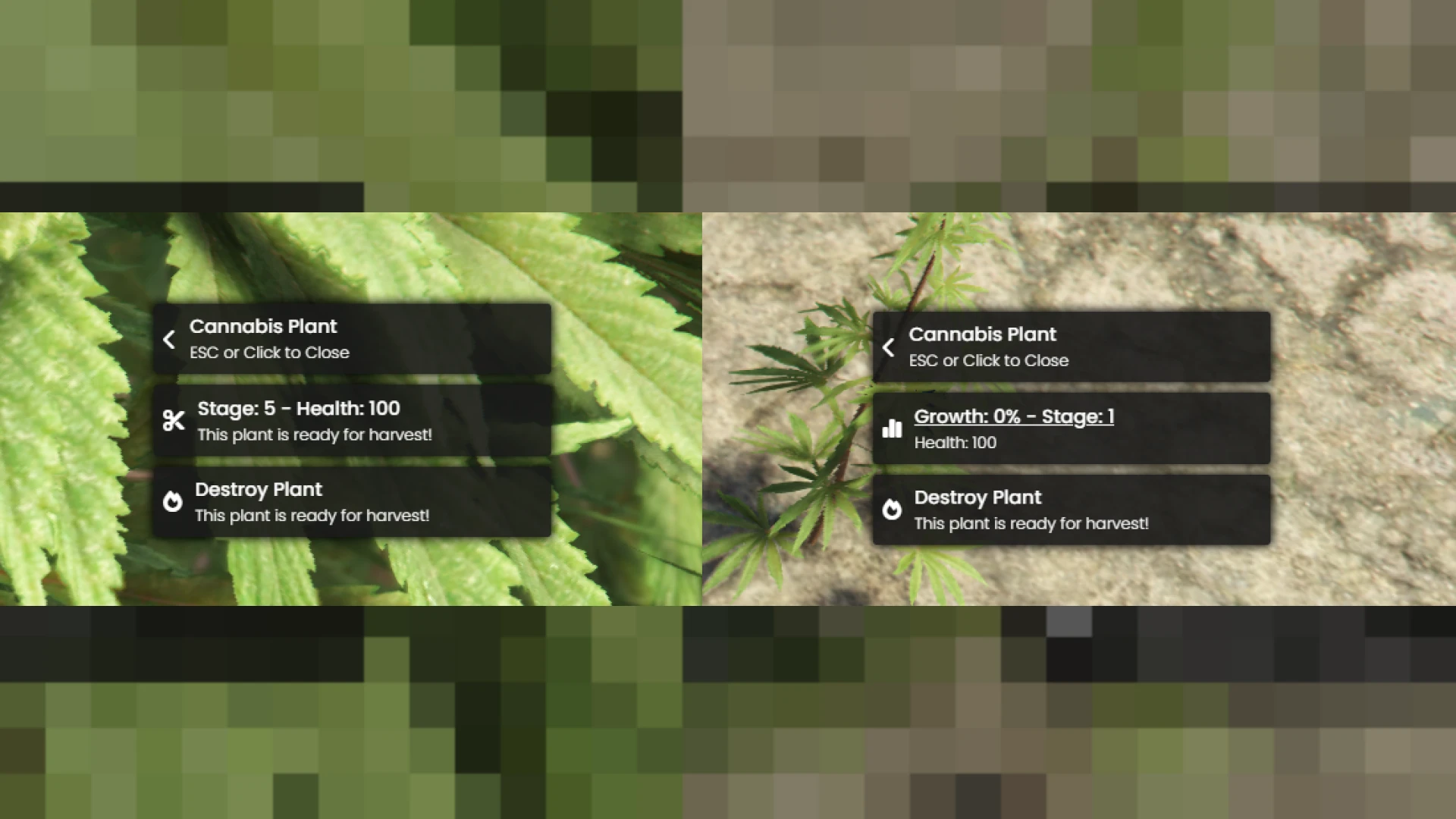 Weed planting growth stage shown with a plant menu in FiveM