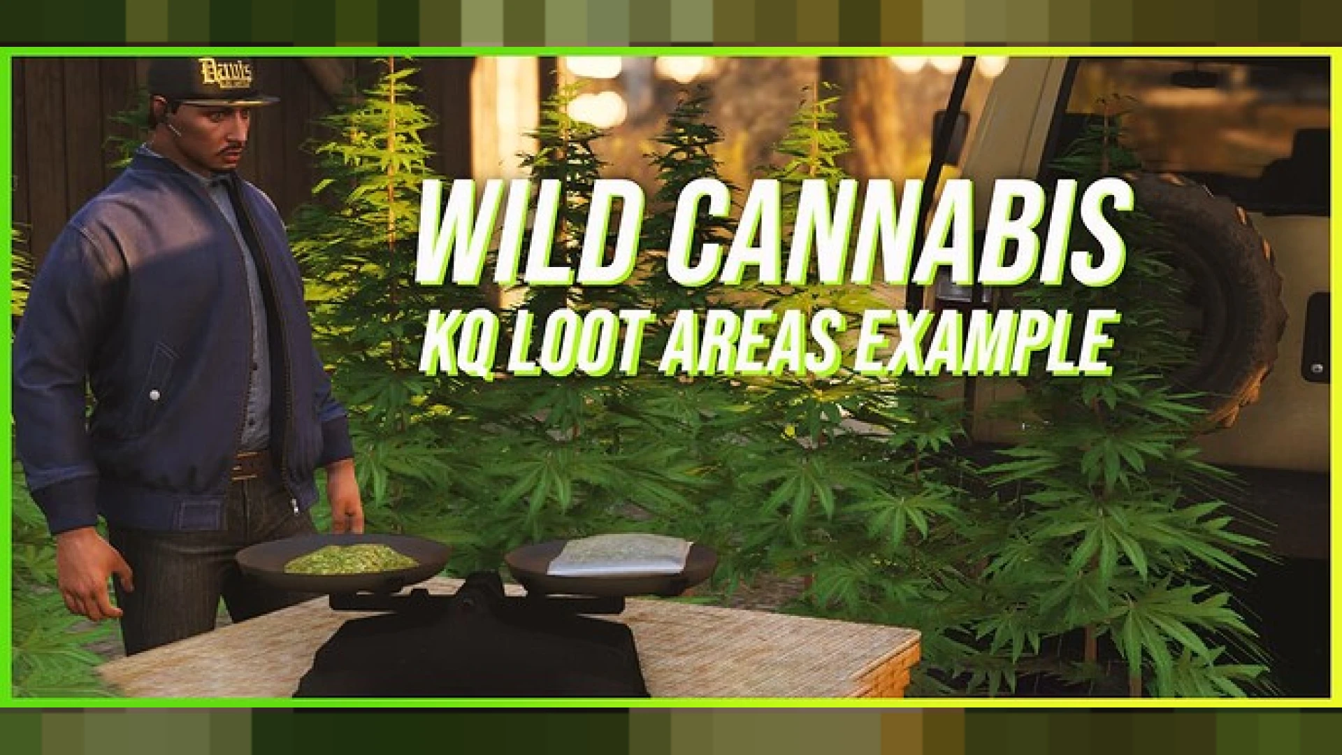 Wild cannabis plant being harvested in a map loot zone in FiveM
