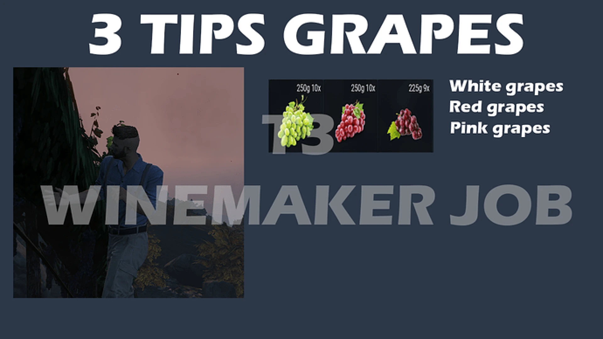 Winemaker Job FiveM script — a winemaker pressing grapes into wine