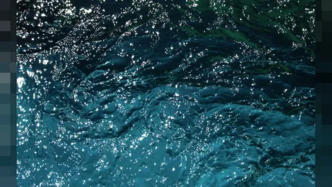 2K water with sharp reflections rippling across a FiveM coastline