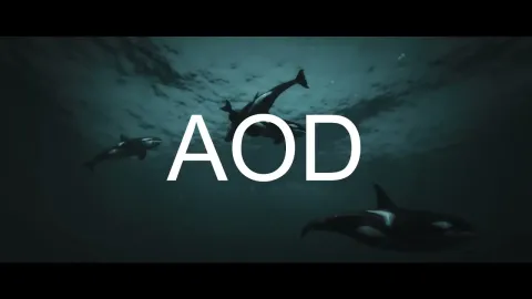 AOD HUNTING - activities and minigames script for FiveM GTA 5 roleplay