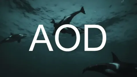 AOD HUNTING in-game UI - FiveM activities and minigames script