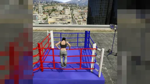 Battle ring prop for FiveM fight events — view 2