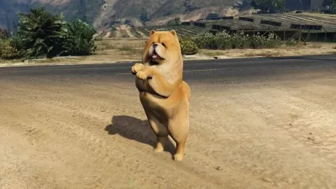 Chow Add On dog ped - ped for FiveM GTA 5 roleplay