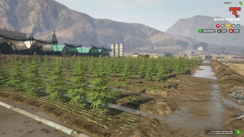 Drug System V2 - drugs script for FiveM GTA 5 roleplay