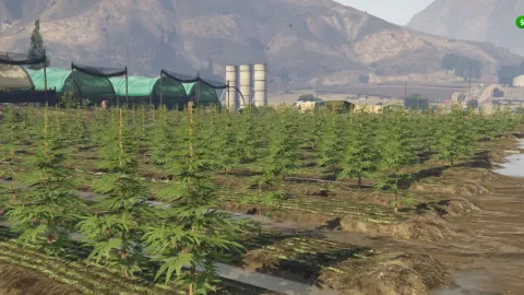 Drug System V2 in-game UI - FiveM drugs script