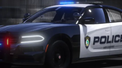 Lspdv1 Skins Package preview 2