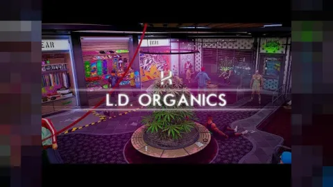 Kiiya LD Organics MLO weed dispensary interior for FiveM