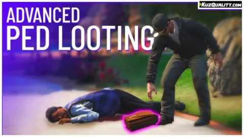 Advanced Ped Looting for FiveM