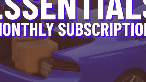 Essentials Script Access preview 2