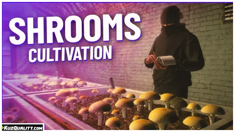 Shrooms Cultivation for FiveM