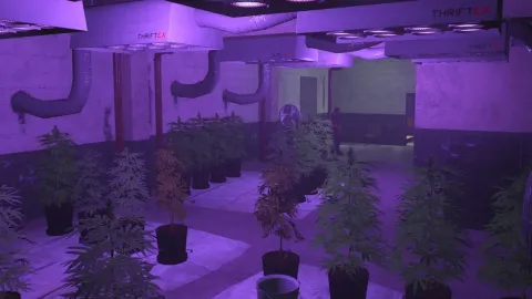 Weed Production preview 2