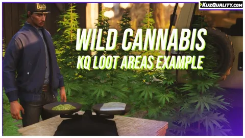 Wild Cannabis Loot Areas Example preview 2
