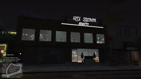 Los Santos gym interior with weights, cardio machines and a boxing ring — view 2