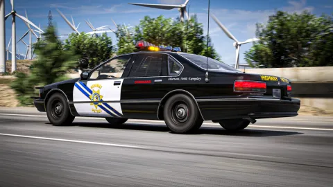 Declasse Merit Police Interceptor 1996 preview 2