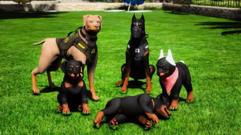 Doberman K9 Puppy Bundle preview 2
