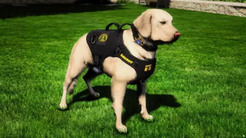 Golden Labrador Retriever Police K9 preview 2