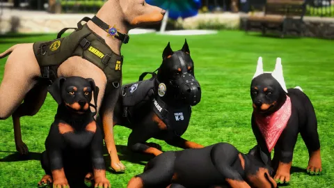 Onx K9 Ped Pack - ped for FiveM GTA 5 roleplay