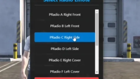 Radio Selector Script preview 2