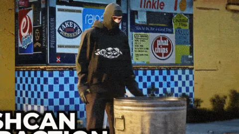 Trashcan Interaction Emote preview 2