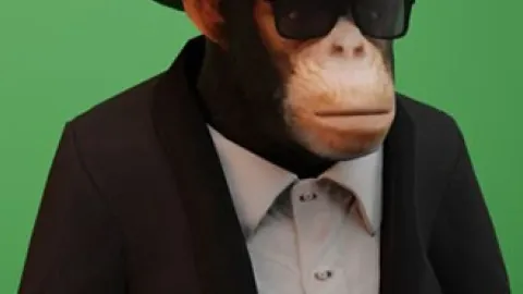 Cesar preview 2