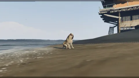 Pug dog ped standing indoors in a FiveM roleplay scene — view 2