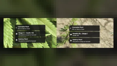 QB Weed Planting - drugs script for FiveM GTA 5 roleplay