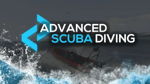 Scuba diving script exploring the seabed for crates in FiveM — view 2