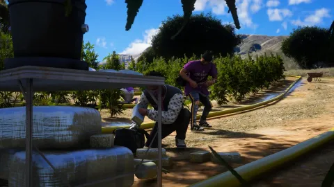 Island Weed Field preview 2